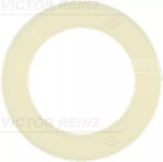 Seal Ring, oil drain plug VICTOR REINZ 70-23117-00)