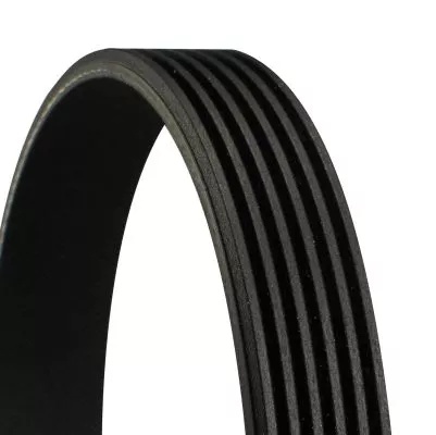 V-ribbed Belt CONTINENTAL CTAM 6PK1980)