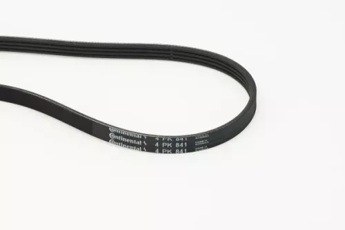 V-ribbed Belt CONTINENTAL CTAM 4PK841)