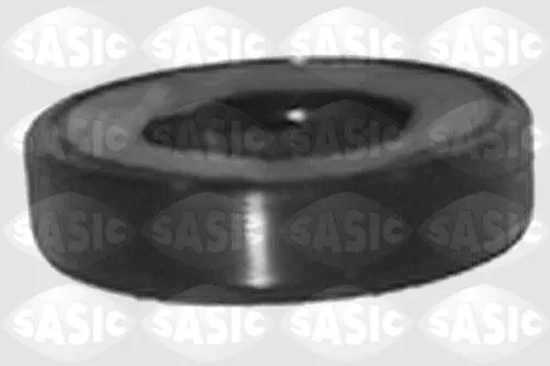 Shaft Seal, differential SASIC 1213463)