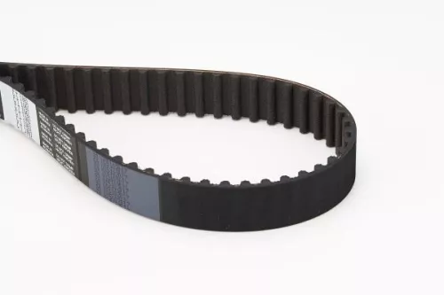 Timing Belt CONTINENTAL CTAM CT1061)