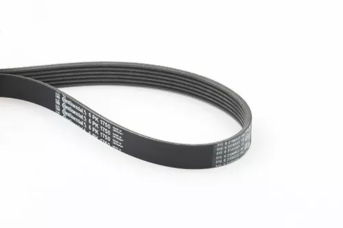 V-ribbed Belt CONTINENTAL CTAM 6PK1750)