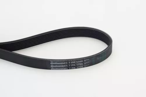 V-ribbed Belt CONTINENTAL CTAM 7PK1705)