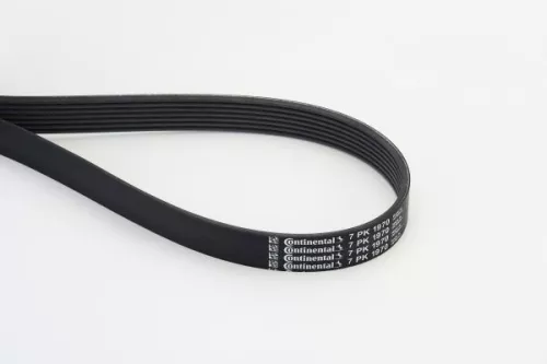 V-ribbed Belt CONTINENTAL CTAM 7PK1970)