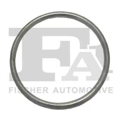 Seal Ring, exhaust pipe FA1 791-953)