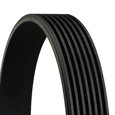 V-ribbed Belt CONTINENTAL CTAM 7PK1666)