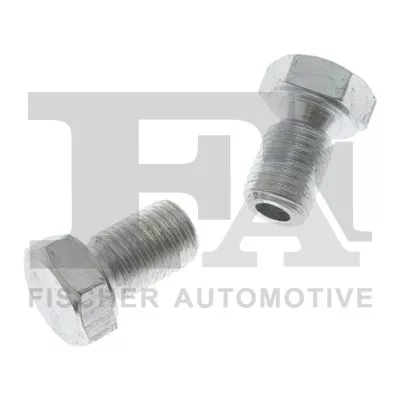 Screw Plug, oil sump FA1 768.920.001)