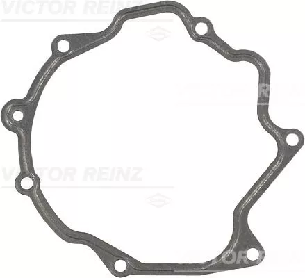 Gasket, vacuum pump VICTOR REINZ 71-31793-00)