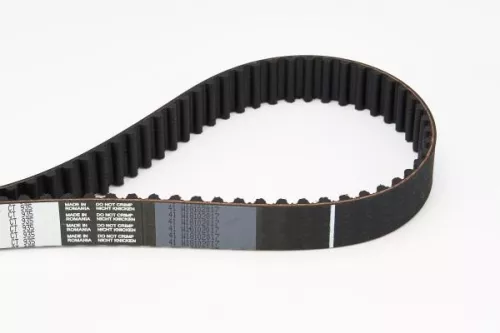 Timing Belt CONTINENTAL CTAM CT935)