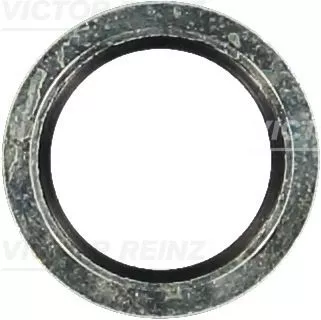 Seal Ring, oil drain plug VICTOR REINZ 70-33769-00)