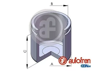 Piston, brake caliper AUTOFREN SEINSA D02569)