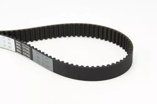 Timing Belt CONTINENTAL CTAM CT1023)