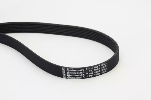 V-ribbed Belt CONTINENTAL CTAM 7PK1687)