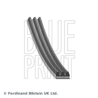 V-ribbed Belt BLUE PRINT AD03R682)