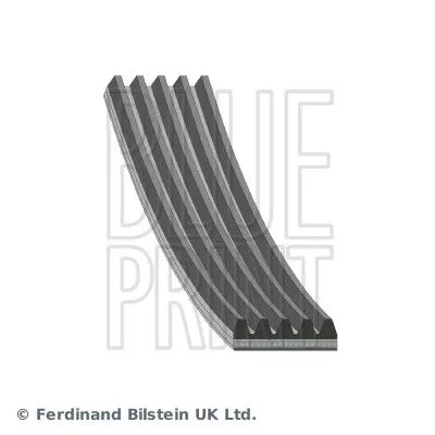 V-ribbed Belt BLUE PRINT AD05R836)