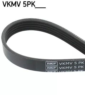 V-ribbed Belt SKF VKMV 5PK1121)
