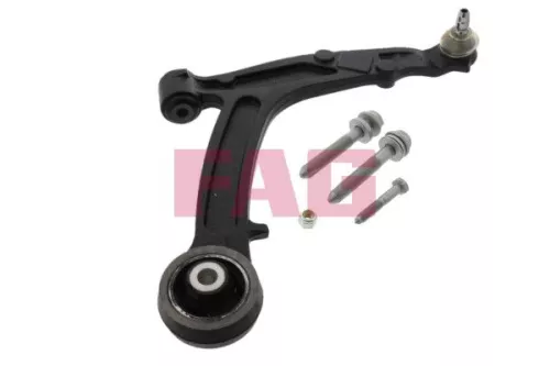 Control/Trailing Arm, wheel suspension Schaeffler FAG 821 0391 10)