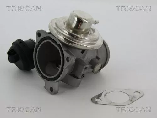 EGR Valve TRISCAN 8813 29057)