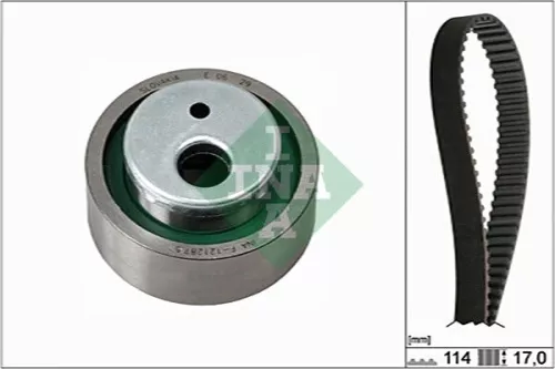 Timing Belt Kit Schaeffler INA 530 0258 10)
