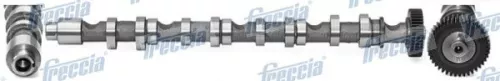 Camshaft FRECCIA CM05-2196)