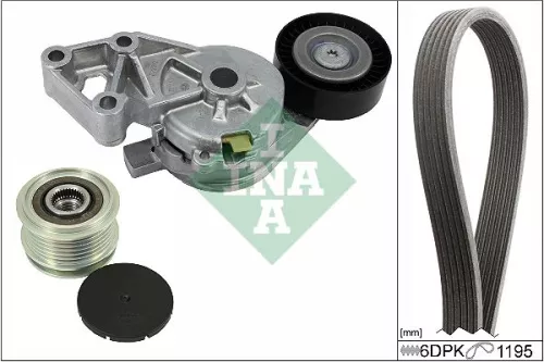 V-ribbed Belt Set Schaeffler INA 529 0465 20)