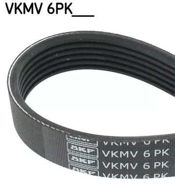 V-ribbed Belt SKF VKMV 6PK1555)