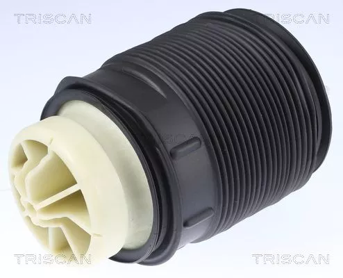 Air Spring, suspension TRISCAN 8720 23201)