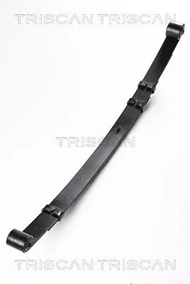 Spring Pack TRISCAN 8765 80006)