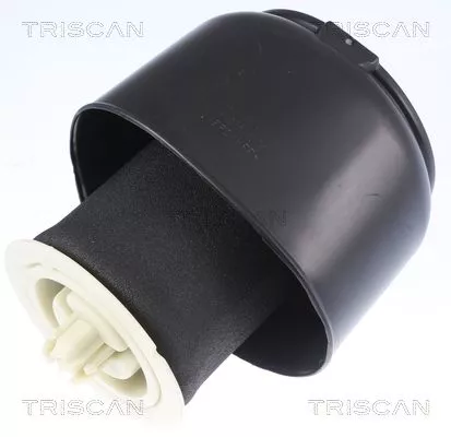 Air Spring, suspension TRISCAN 8720 11201)