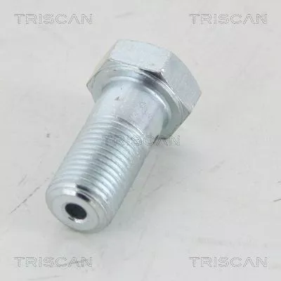 Banjo Bolt TRISCAN 8105 3251)