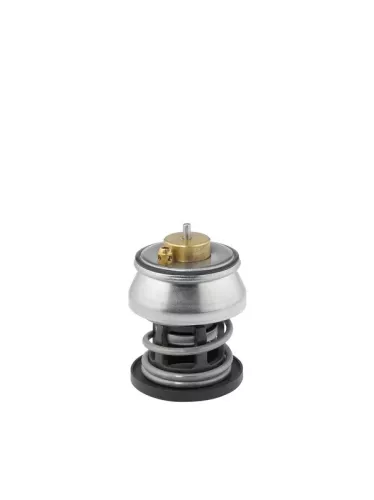 Thermostat, coolant BorgWarner (Wahler) 412253.88D)