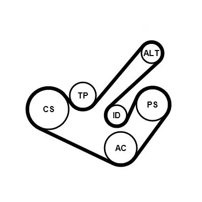 V-ribbed Belt Set CONTINENTAL CTAM 6PK1555K9)