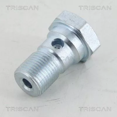 Banjo Bolt TRISCAN 8105 3255)