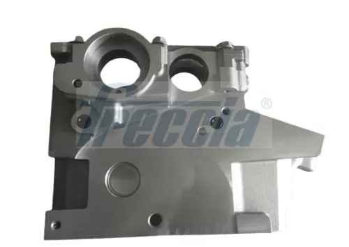Cylinder Head FRECCIA CH17-1038)