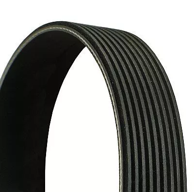 V-ribbed Belt CONTINENTAL CTAM 9PK1825)