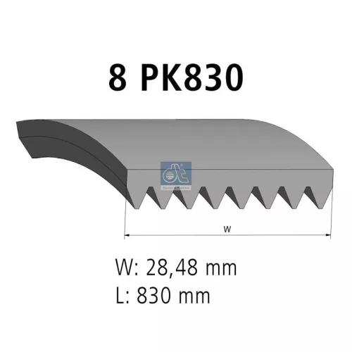 V-ribbed Belt  2.21058)