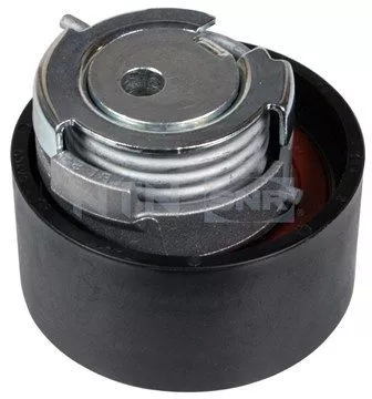 Tensioner Pulley, timing belt SNR GT359.29)