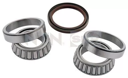 Wheel Bearing Kit SNR R154.47)