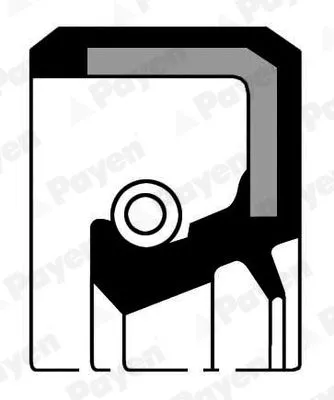 Shaft Seal, crankshaft PAYEN NA5192)