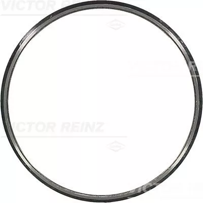 Ring Gear, crankshaft VICTOR REINZ 71-31304-00)