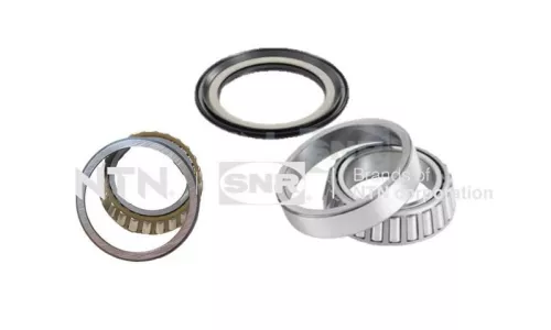 Wheel Bearing Kit SNR R189.12)