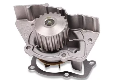 Water Pump, engine cooling HEPU P895)