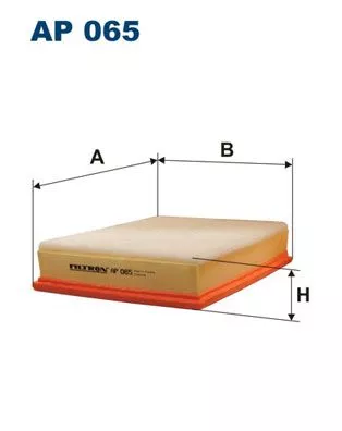 Air Filter FILTRON AP 065)
