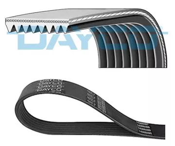 V-ribbed Belt DAYCO 8PK1520HD)
