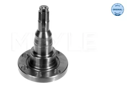 Stub Axle, axle beam MEYLE 100 501 1010)