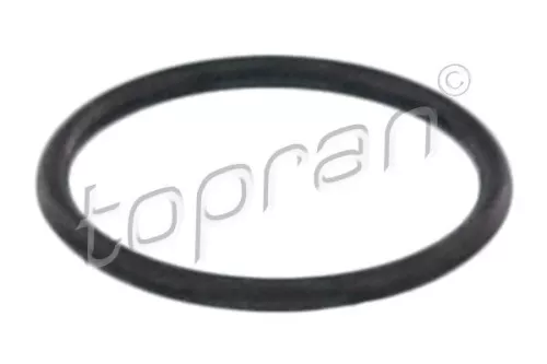 Seal Ring, injector TOPRAN 114 579)