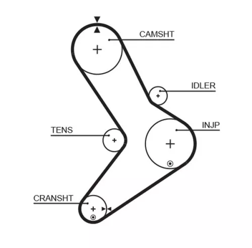 Timing Belt GATES 5334XS)