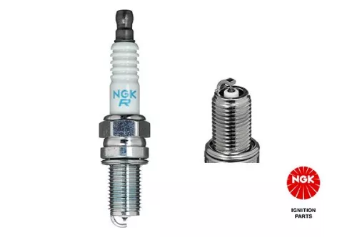 Spark Plug NGK 3641)