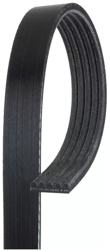 V-ribbed Belt GATES 5PK1123)