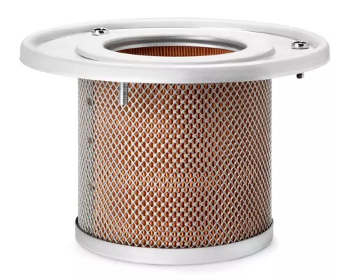Air Filter FLEETGUARD AF25301)